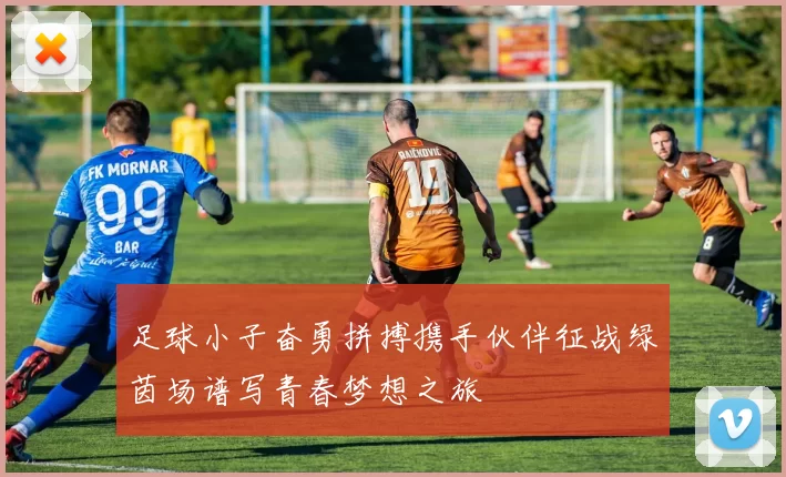 足球小子奋勇拼搏携手伙伴征战绿茵场谱写青春梦想之旅