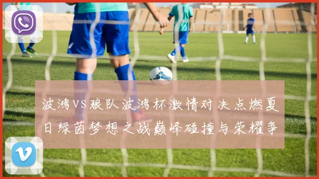 波鸿vs狼队波鸿杯激情对决点燃夏日绿茵梦想之战巅峰碰撞与荣耀争锋