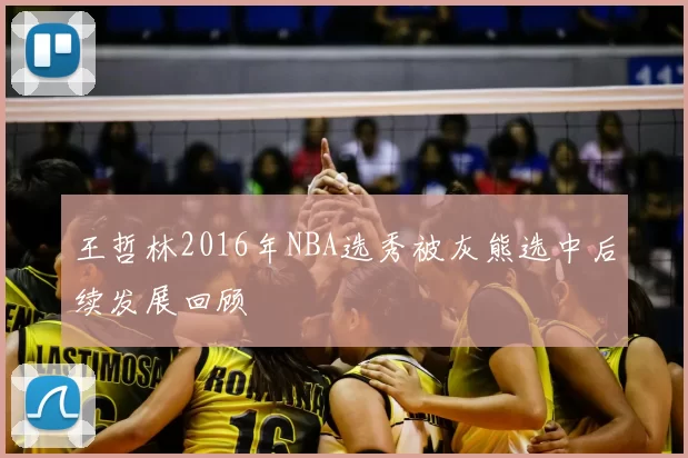 王哲林2016年NBA选秀被灰熊选中后续发展回顾