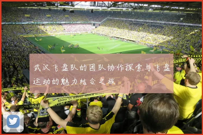 武汉飞盘队的团队协作探索与飞盘运动的魅力结合之旅
