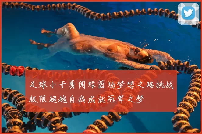足球小子勇闯绿茵场梦想之路挑战极限超越自我成就冠军之梦