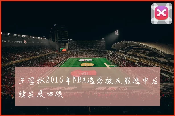 王哲林2016年NBA选秀被灰熊选中后续发展回顾