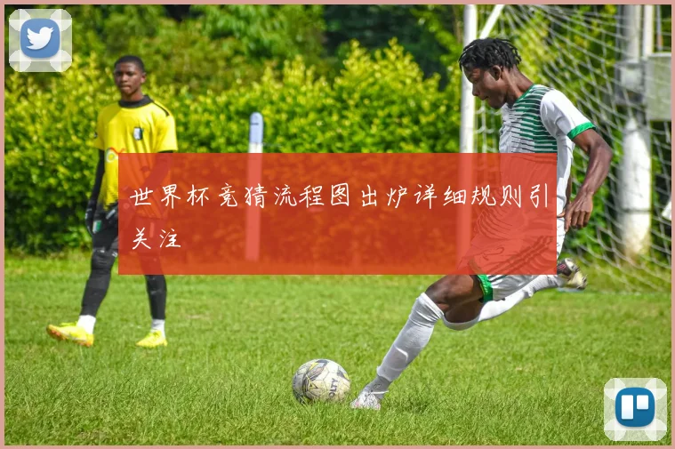世界杯竞猜流程图出炉详细规则引关注