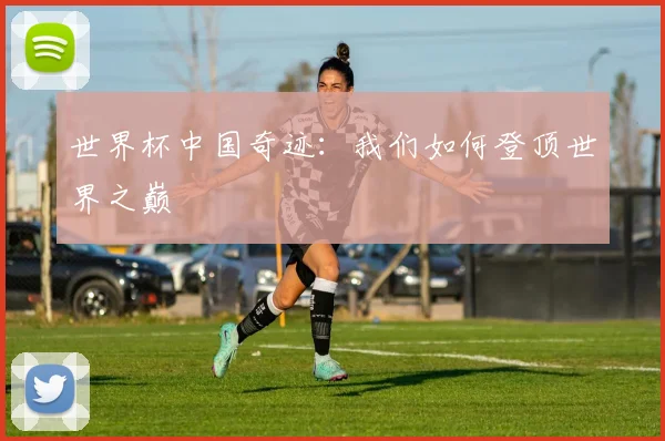 世界杯中国奇迹：我们如何登顶世界之巅