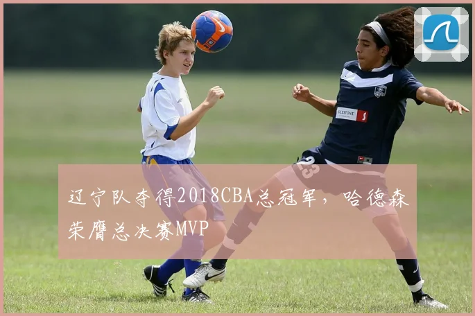 辽宁队夺得2018CBA总冠军,哈德森荣膺总决赛MVP