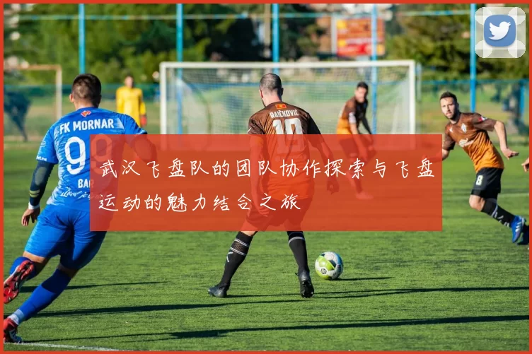 武汉飞盘队的团队协作探索与飞盘运动的魅力结合之旅