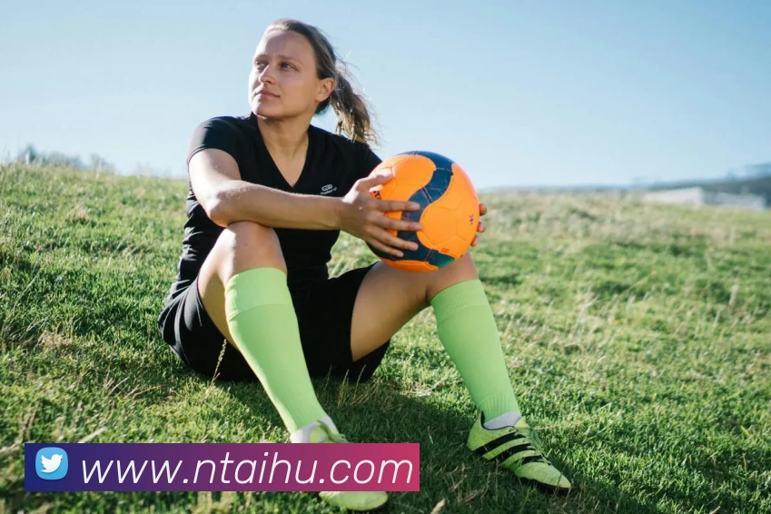 hth华体网页版登录入口APP 封面图